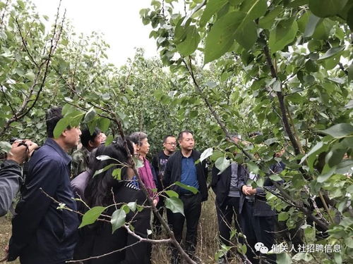 山西省农科院专家莅临我县开展农技培训暨病虫害防治指导活动