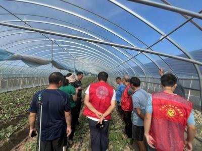 文明实践乡村行，技术服务暖人心——省农业农村厅开展农业病虫害防治志愿服务活动