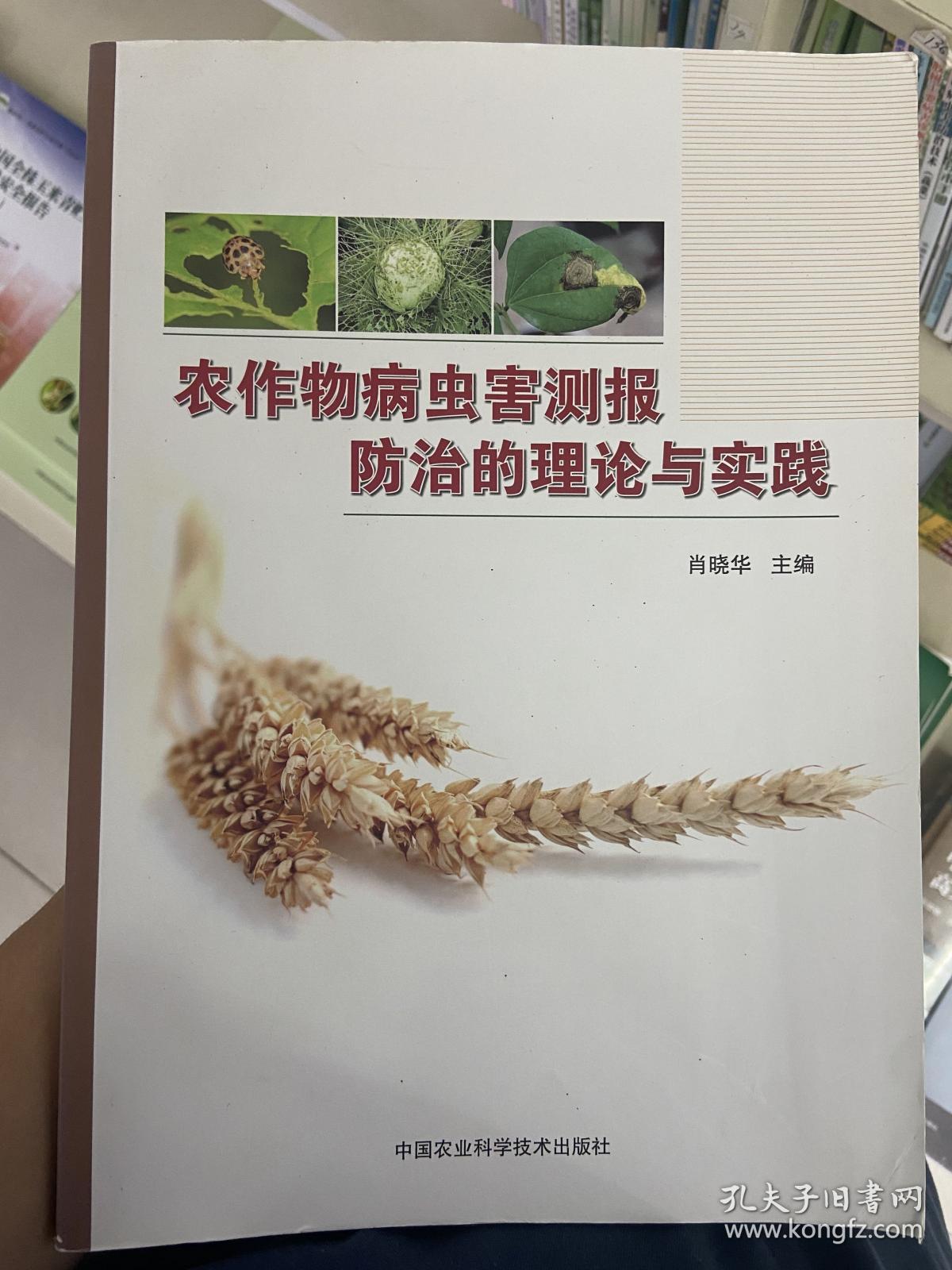 农作物病虫害测报防治的理论与实践