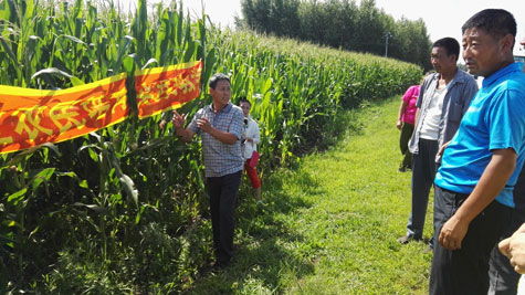 扎赉特新闻网 农业病虫害防治活动助力粮食安全与农民增收